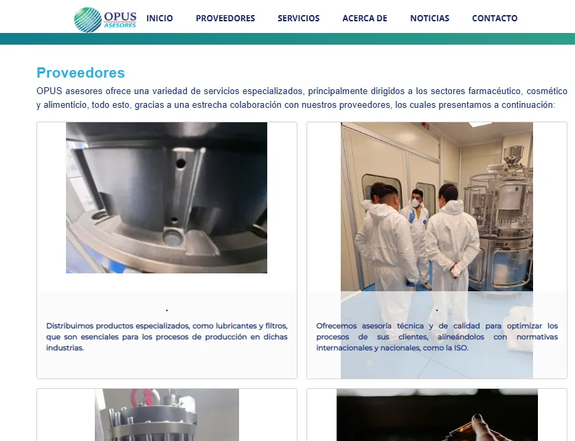 OPUS ASESORES - Imagen 2