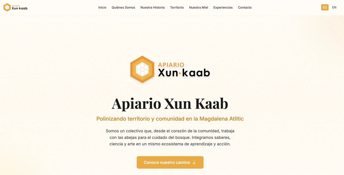 Apiario Xun Kaab - Imagen 1
